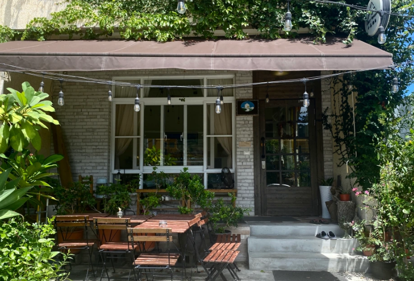 小森旅宿 Cozy Green Guest House