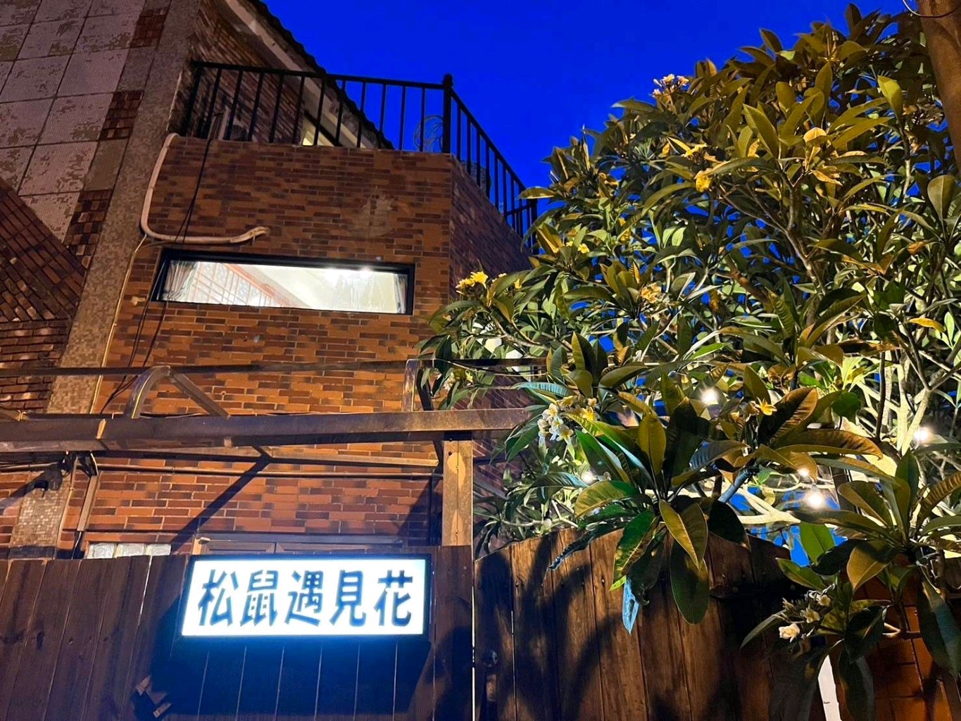 松鼠遇見花